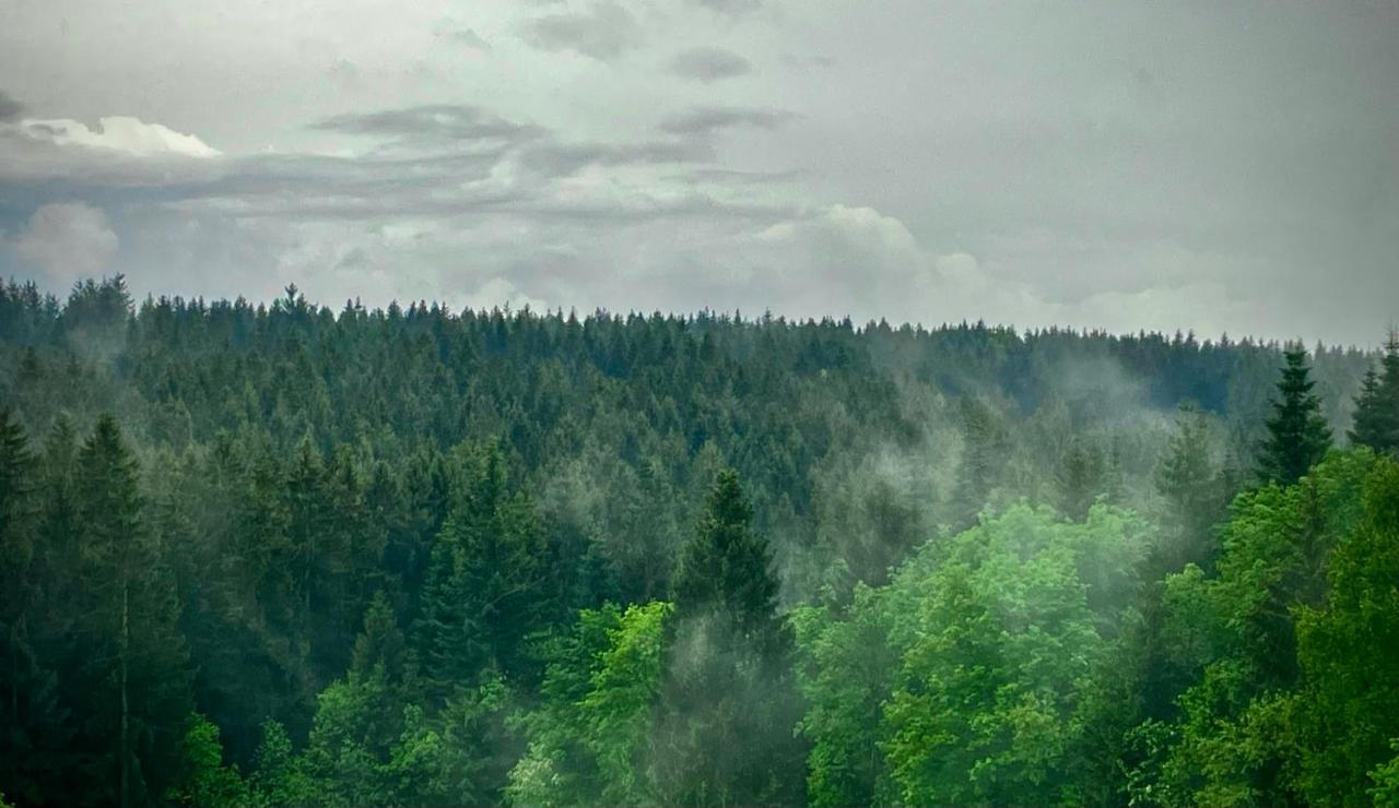 Ferienwohnung Harzurlaub Goslar Bagian luar foto