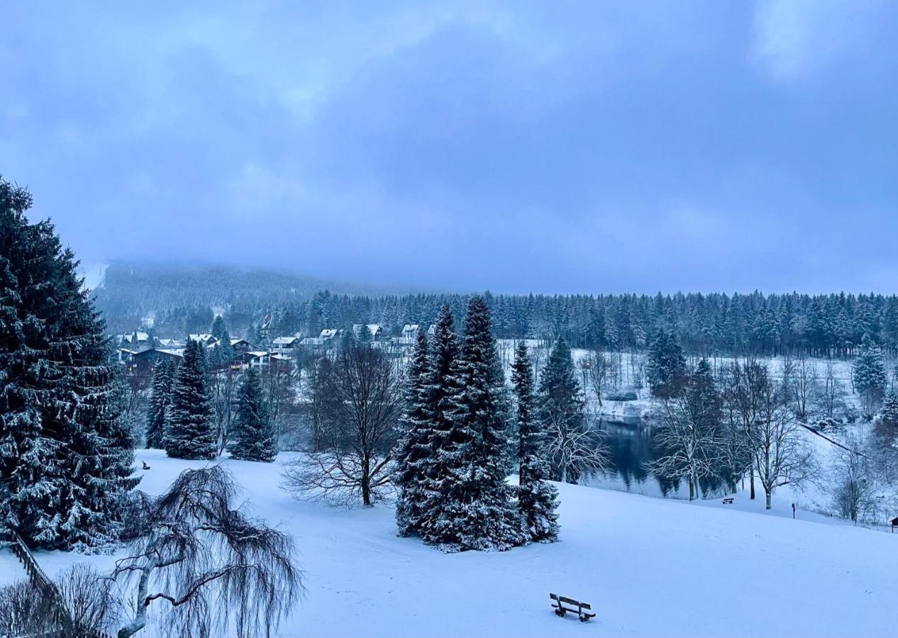 Ferienwohnung Harzurlaub Goslar Bagian luar foto